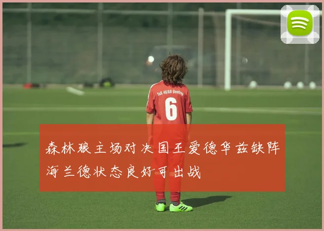 森林狼主场对决国王爱德华兹缺阵海兰德状态良好可出战