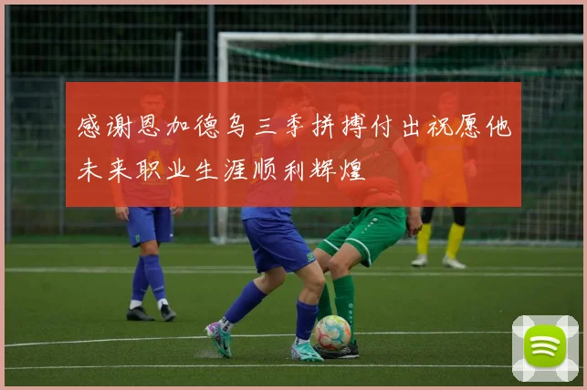 感谢恩加德乌三季拼搏付出祝愿他未来职业生涯顺利辉煌